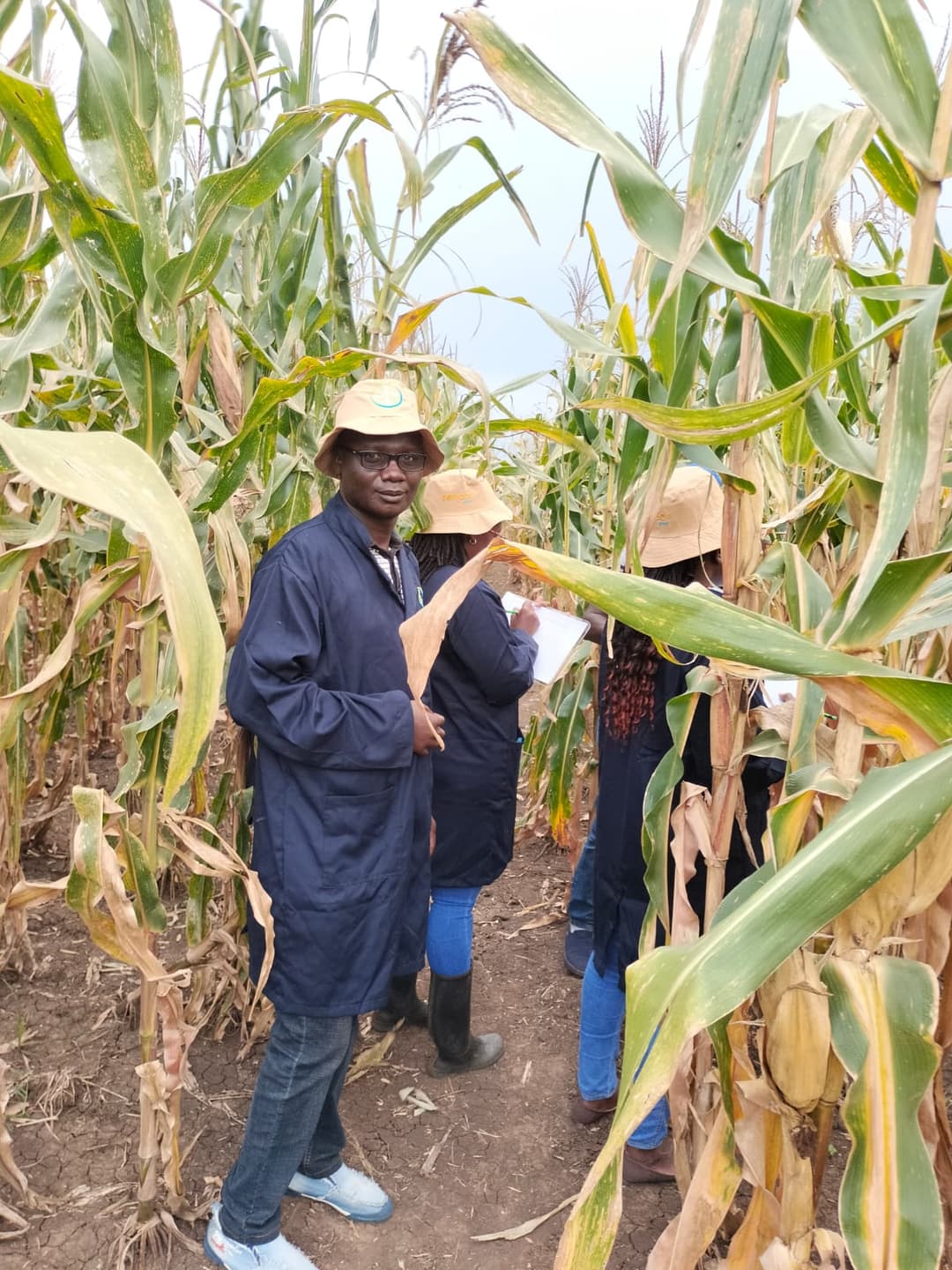 Farmers working with Ke Devries field agents