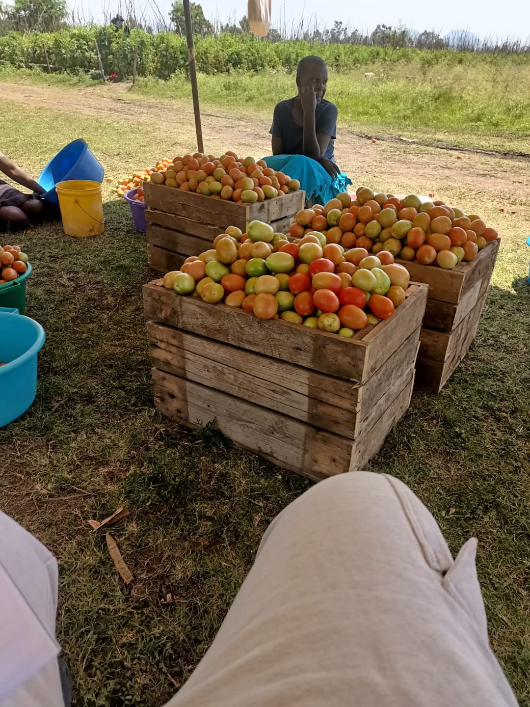 Farmers selling products at market