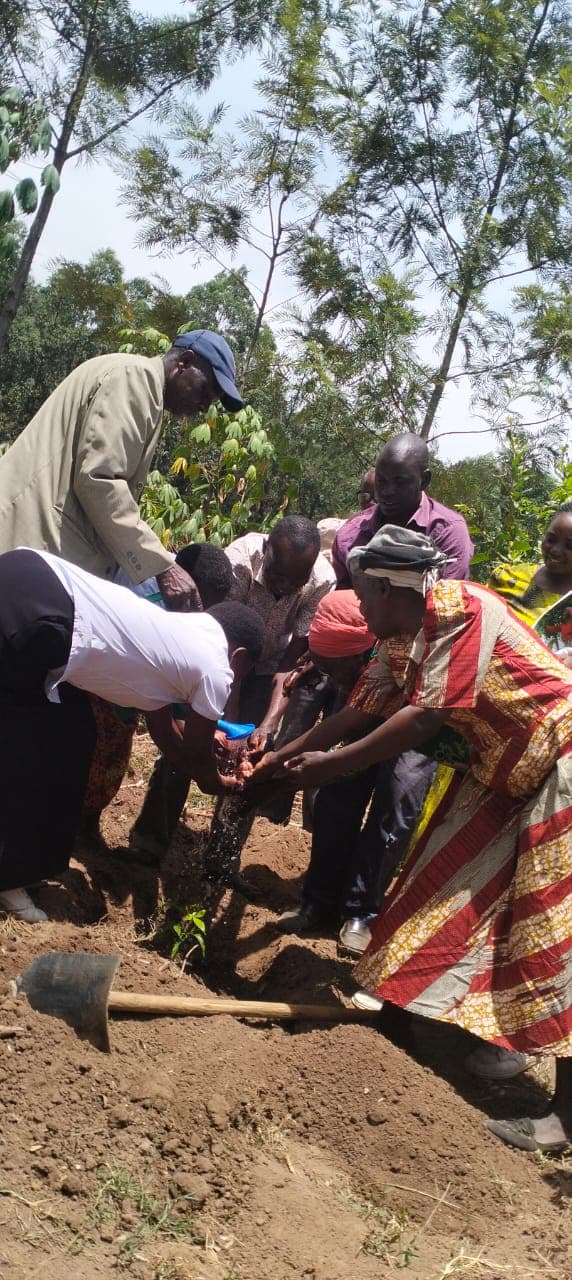 Women's groups harvesting from diversified agroforestry systems with fruits and vegetables