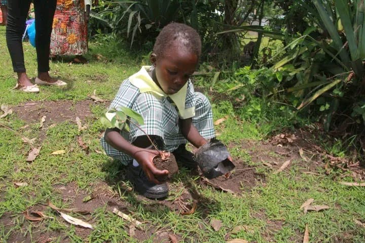 School children tending to their climate-smart demonstration garden with teacher supervision and measuring tools