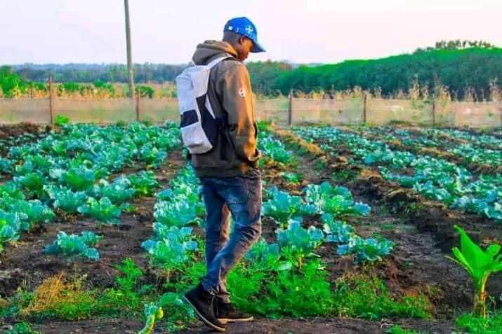 Graduate using new skills to find employment opportunities