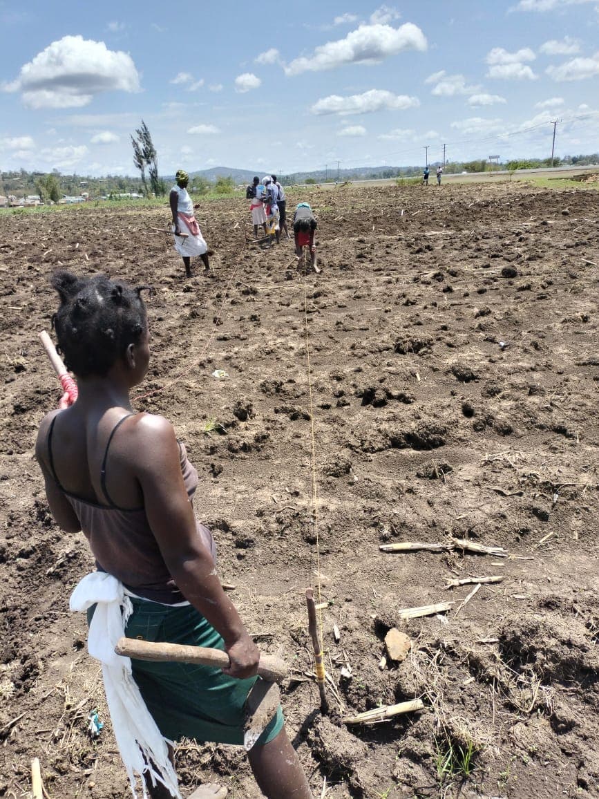 Thriving farms in Lake Region