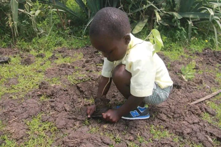 Students engaged in farming activities