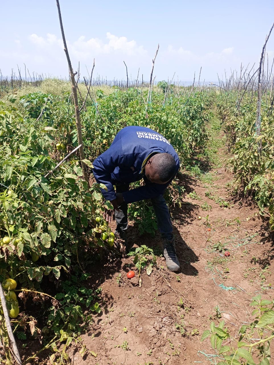 Students learning computer skills in rural Kenya