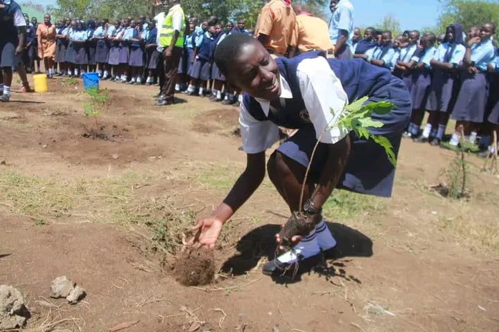 Tree Planting and Agroforestry Campaigns